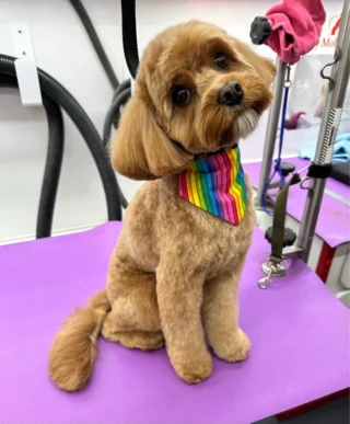 Charlie 😍🥰❤️