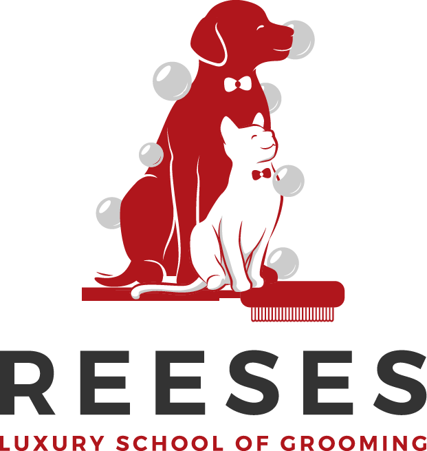 Illustration representing Reese's Luxury School of Grooming