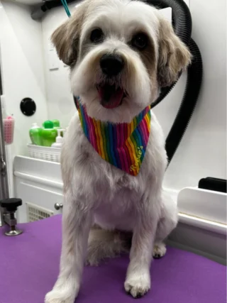 Winston 🥰❤️😍