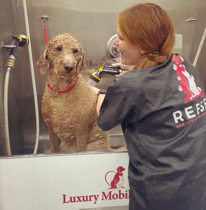 Ashleigh posing with colleagues and a happy dog