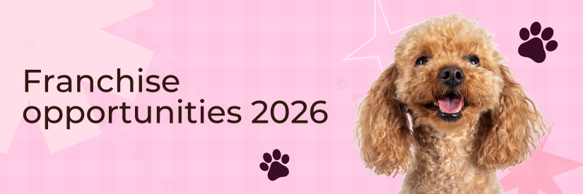 Happy puppies illustration background