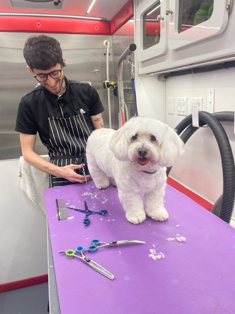 Ben smiling with a groomed dog on the table