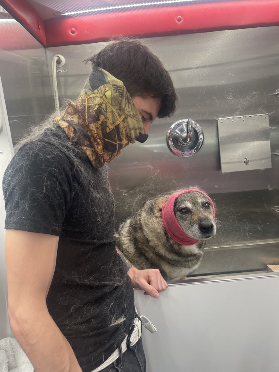 Ben grooming another dog on the purple grooming table