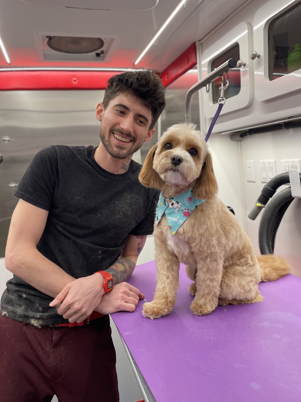 Ben standing proudly with his certificate by the grooming van