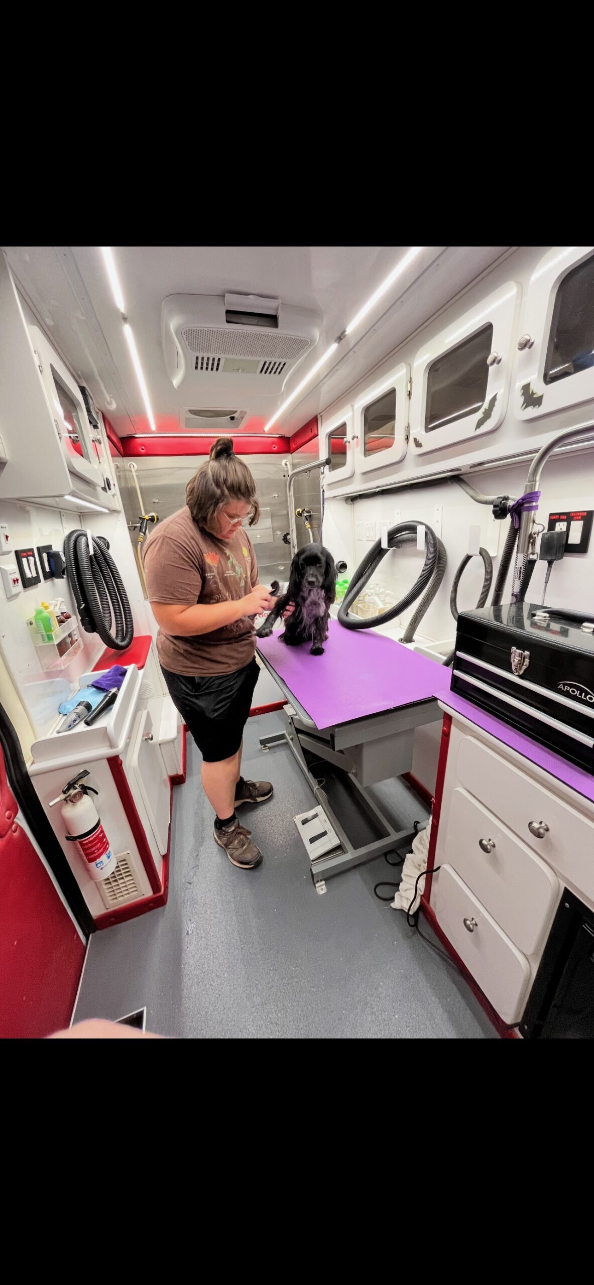 Wes working inside the mobile grooming van